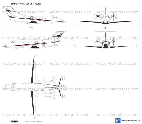 Embraer FMA 123 CBA Vector