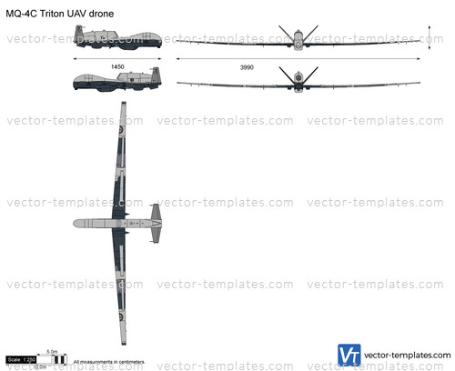 MQ-4C Triton UAV drone