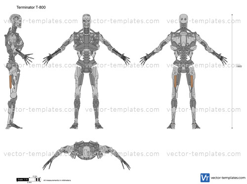 Terminator T-800