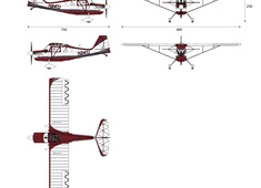 Bellanca Decathlon