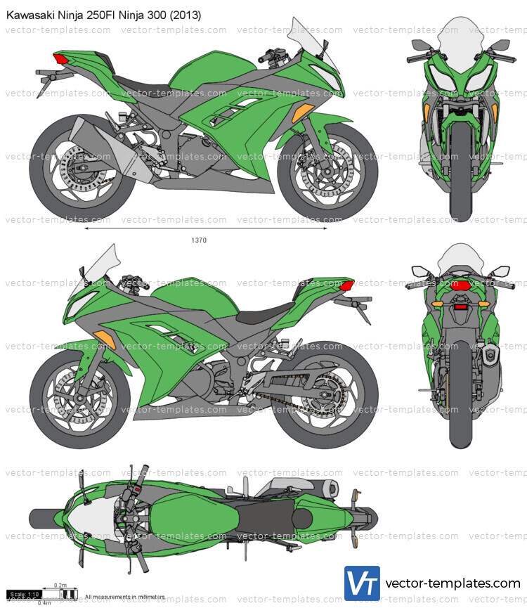 Kawasaki Ninja 250FI Ninja 300